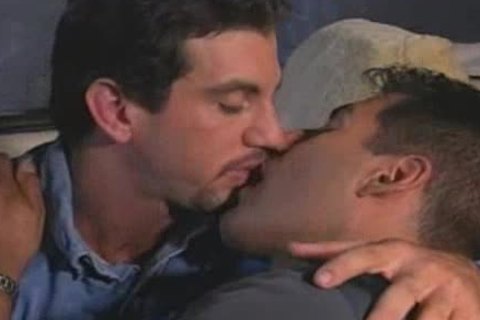 Tom Katt receives pounded By Max