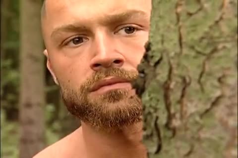 Forest Threeway: Da Mien Crosse,  Benja Min Stack & Pierre Sias - Breathless