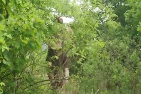 lad Scout gets A Hard bang