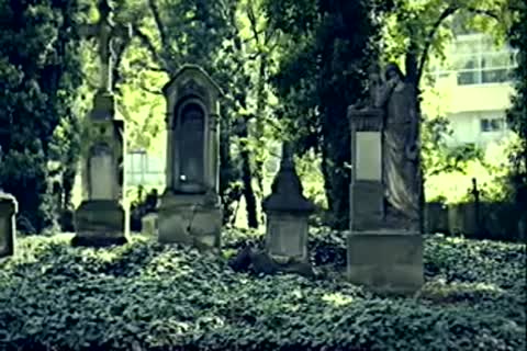 fastened The lad From The Cemetery