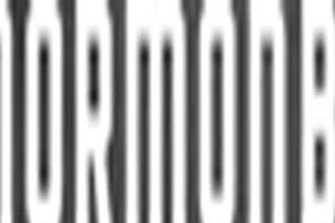 Church Elder And stunning Lad