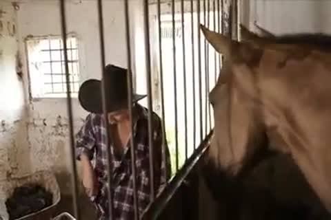 lustful twinks poke In The Farm