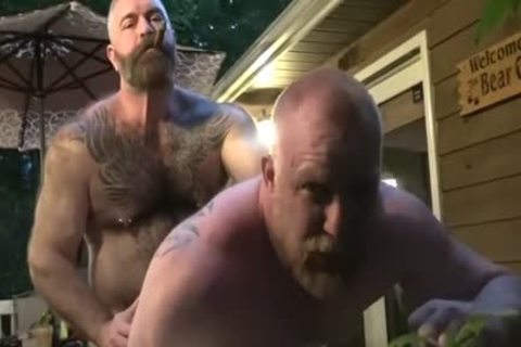 Daddy Bear Breeds Sub Outside