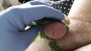 Experimenting With Stinging Nettles