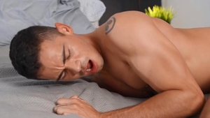 DrillMyHole.com - Ashton Summers toys porn