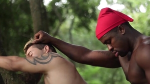 BRAZILIAN LEGENDS II