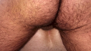 Family Dick: Bear-Cub's Big Day Rehearsal