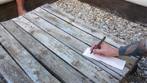 SayUncle Labs: Pornstar Pledges to Pay Up