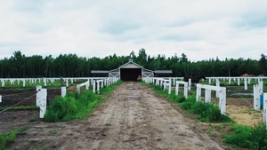 Men: Haystack Havoc, Two Hearts