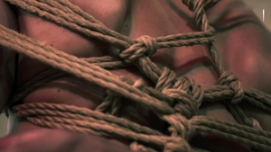 Tightly Bound and Used with Glee