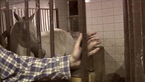 Ranch Life Takes an Erotic Turn