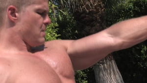 Falcon Studios: Translucent Temptation