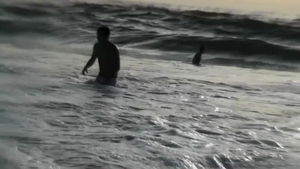 Dick Dorm: Shoreline Seduction